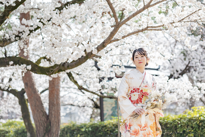 京都　成人式　前撮り　桜