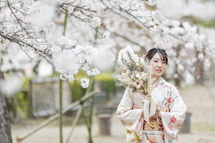 京都　成人式　前撮り　桜